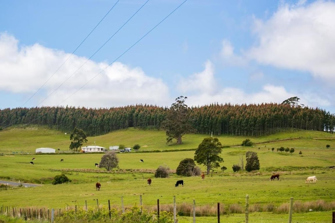 3 Hills @ The Good Place in Staverton, TAS