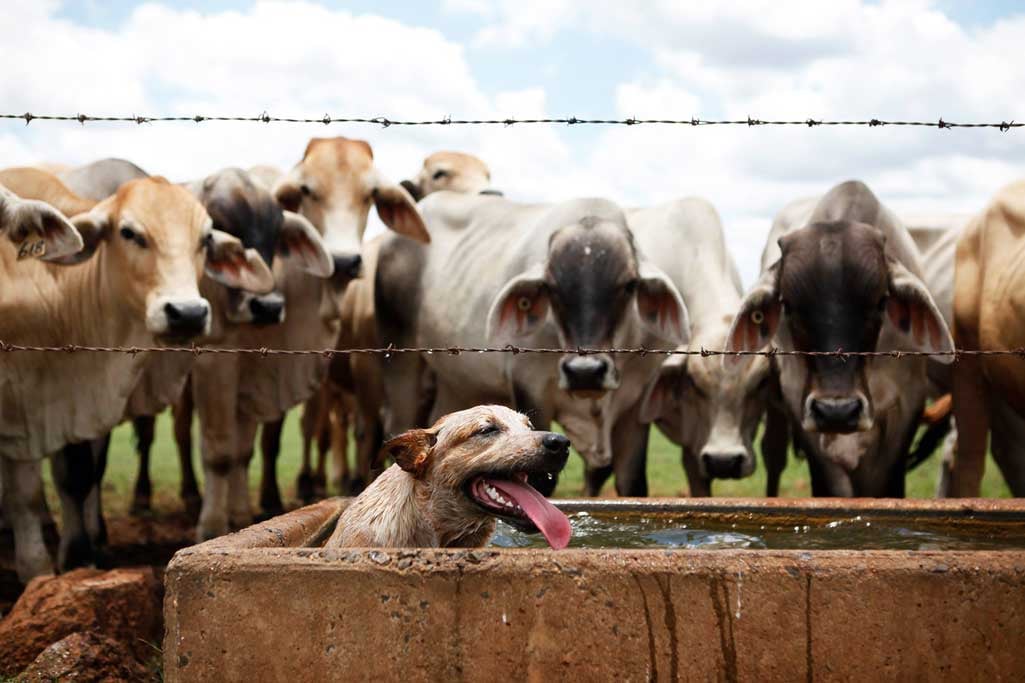 Alkoomi Adventure Farmstay in QLD, QLD