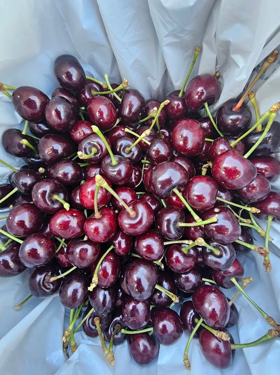 Allambie Orchard in WOMBAT, NSW