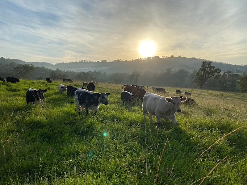 Allynview Farm in Hunter Valley, NSW