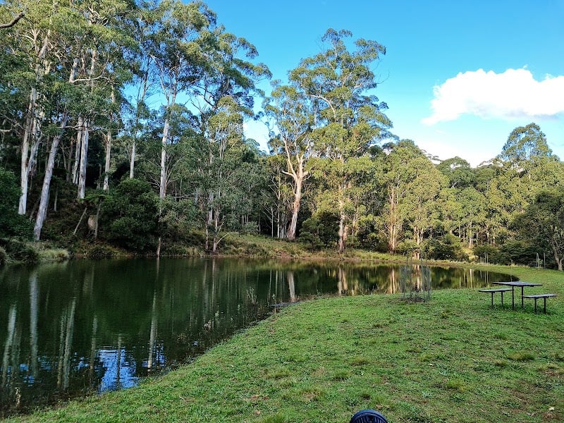 Arc-en-Ciel Trout Farm | Nundle Smokehouse | The Drunken Trout Café in Hanging Rock, NSW