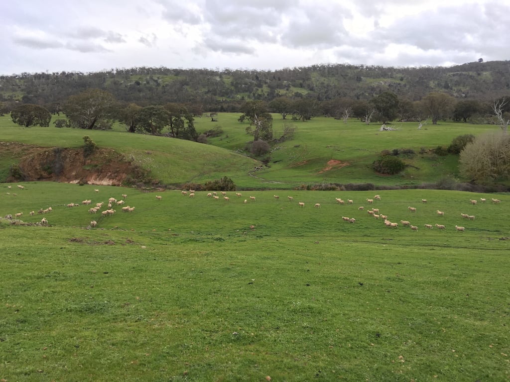 Beckworth Retreat in Clunes, VIC