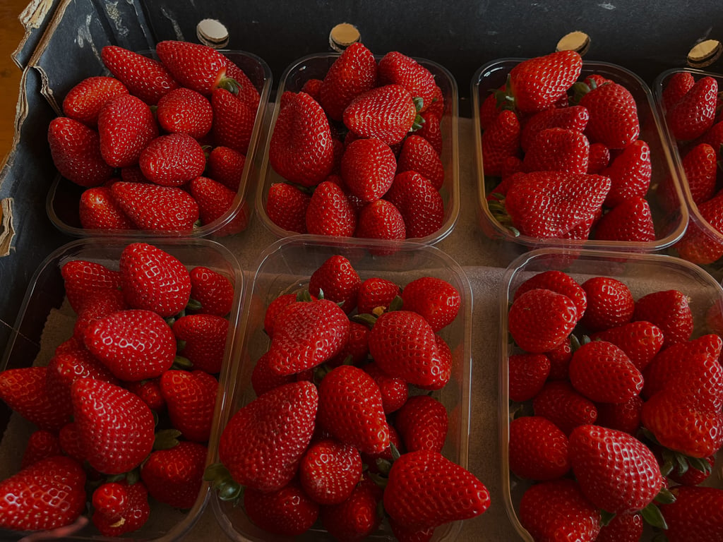 Beechworth Berries in 46 Reids Way, VIC