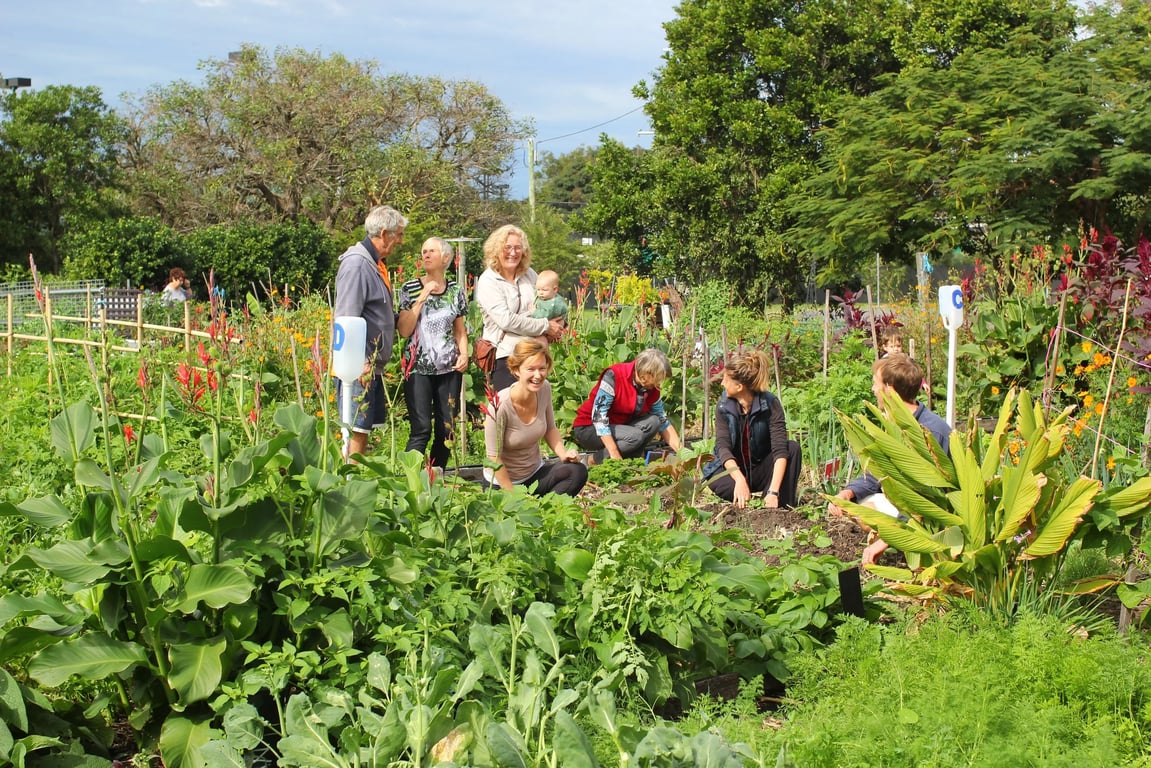 Beelarong Community Farm in Morningside, QLD