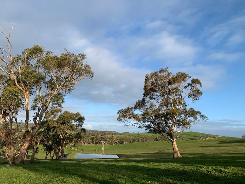 Bellevue Farmstay in Scotts Creek, VIC