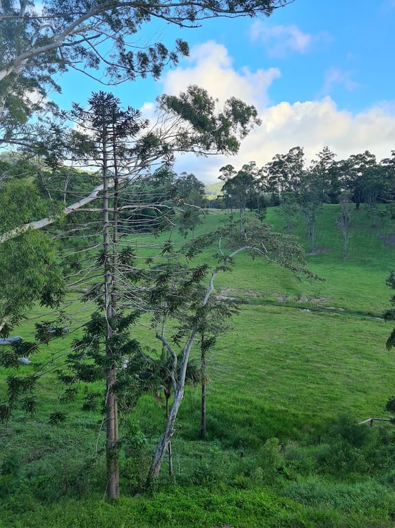 Bellingdale Farm in Nunderi, NSW