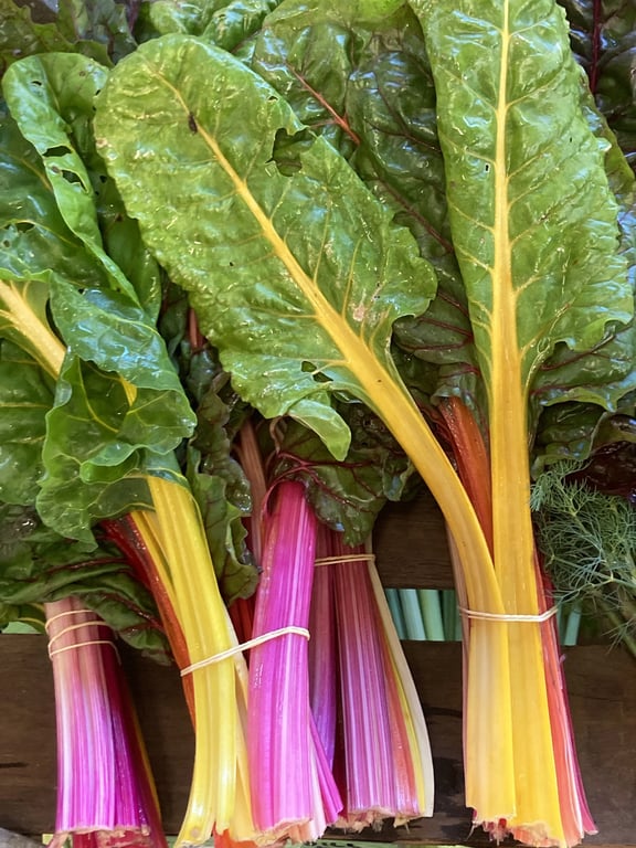 Bellingen Growers Market in Bellingen Showgrounds, NSW