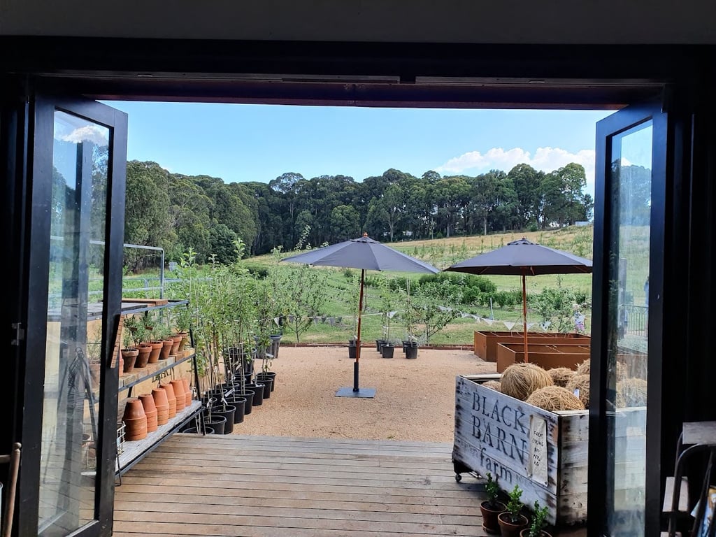 Black Barn Farm in Stanley, VIC