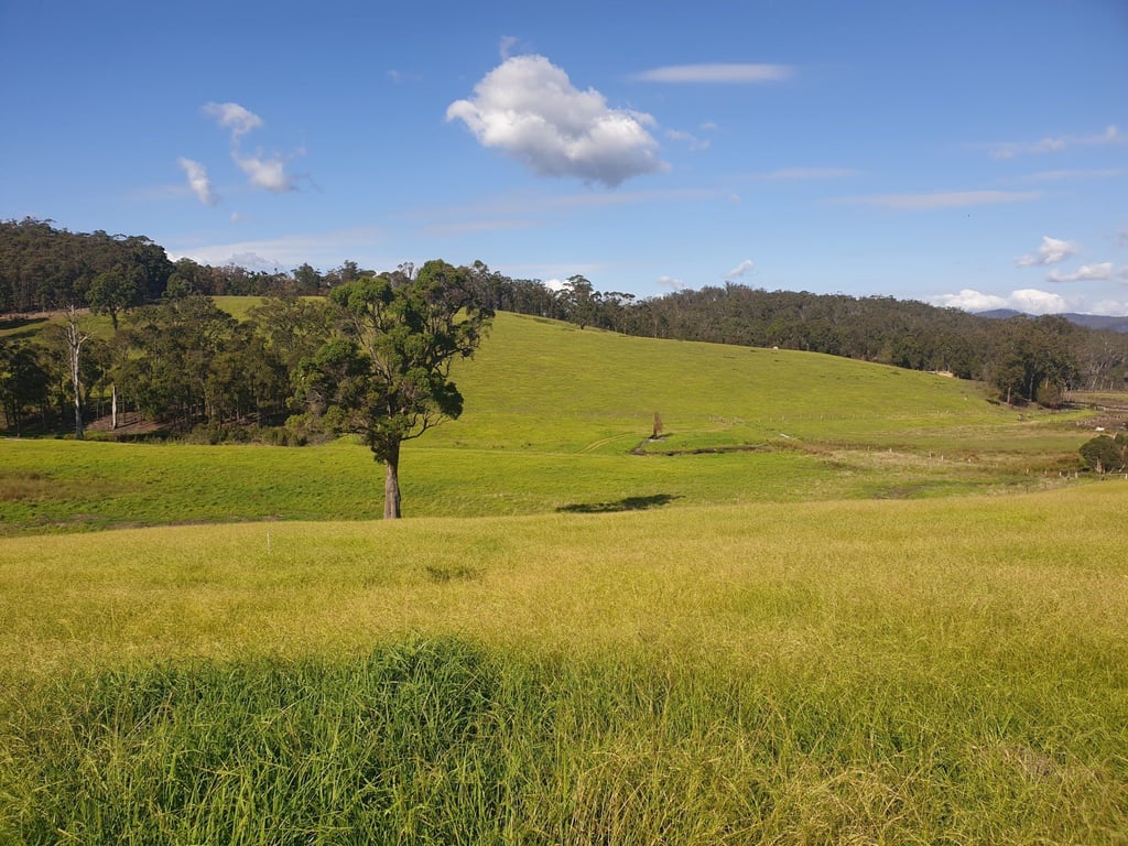 Black Duck Foods in Gipsy Point, VIC