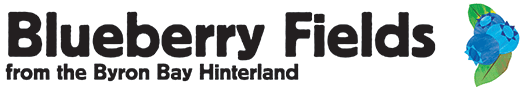 Blueberry Fields in Brooklet, NSW