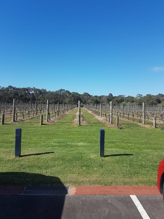 Bluestone Lane Winery in Balnarring, VIC