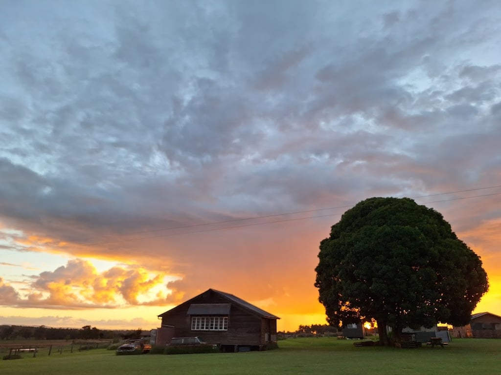 Bunya Beef Grazing in South Burnett, QLD
