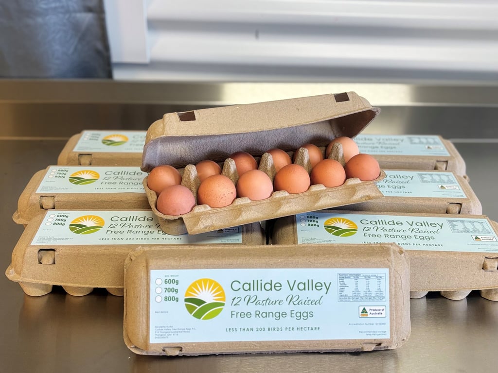 Callide Valley Free Range Eggs P/L in Thangool, QLD