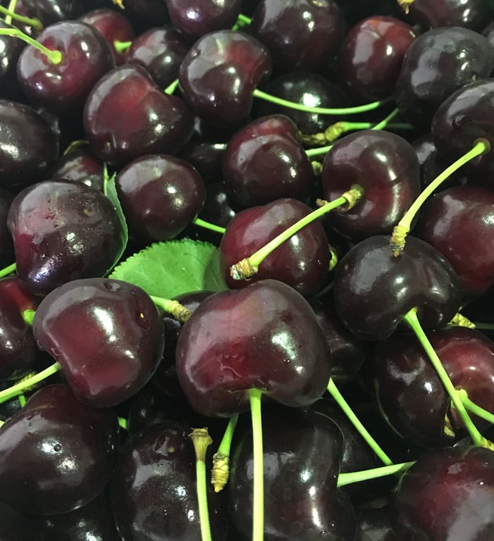 Cherry & Strawberry picking (Wombat Heights Orchard) in Wombat, NSW