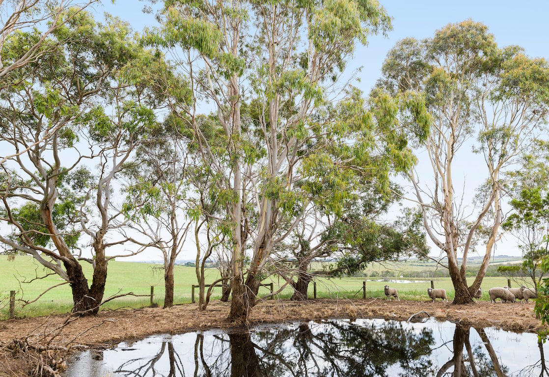Cherry Tree Organics in Beaconsfield, VIC