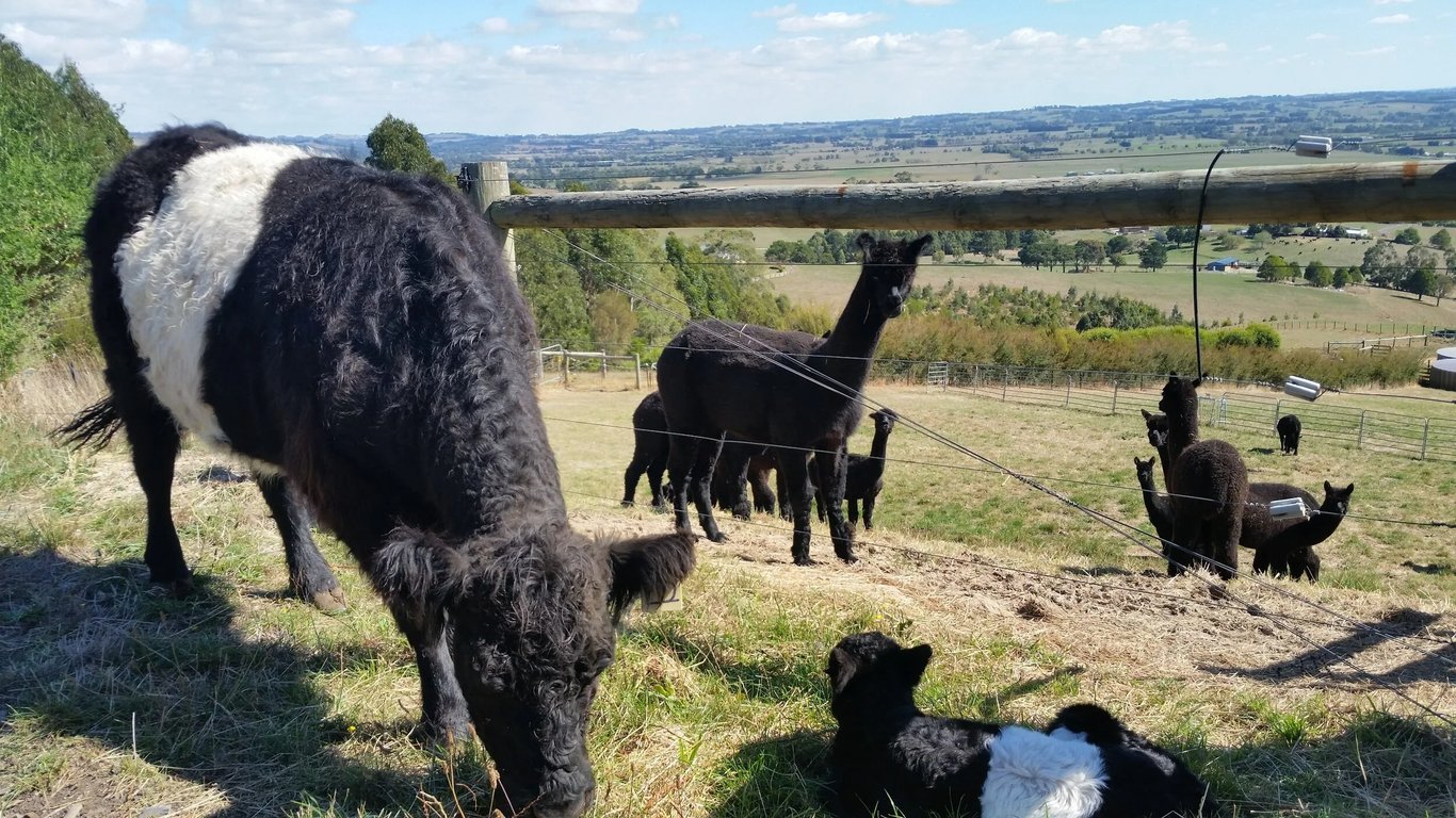 Clifden Farm in Yarragon South, VIC