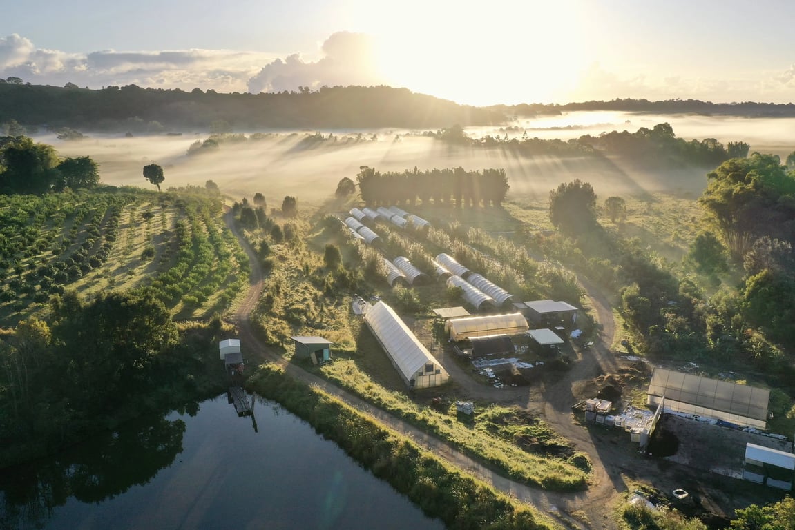 Conscious Ground Organics in Myocum, NSW