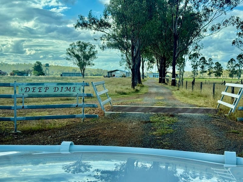 Deep Dime Camping and RV Farmstays in Glan Devon, QLD