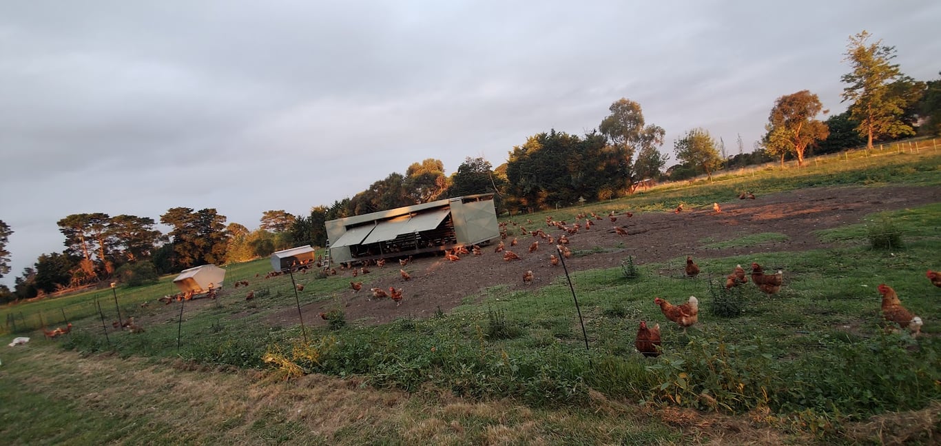 Dheavii Farms in Cowwarr, VIC