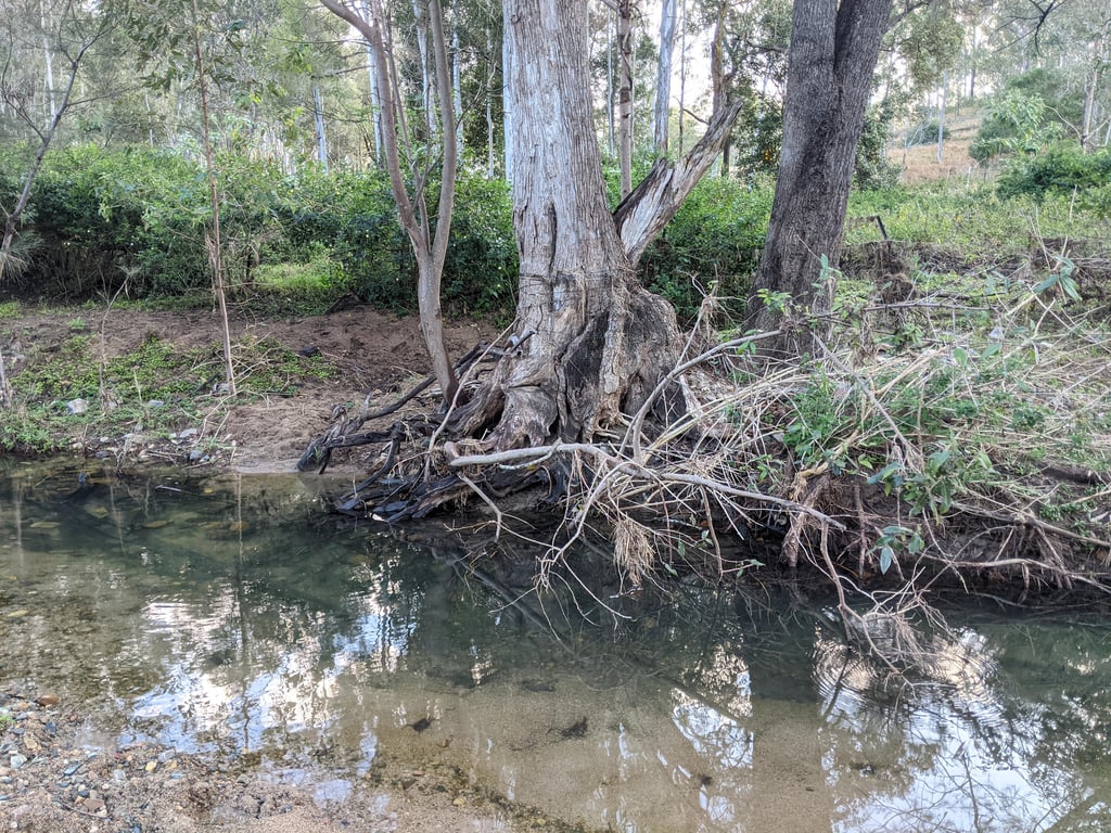 Djitti Djitti Farm in Biarra, QLD