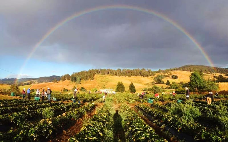 DM Jennings & Sons in Cygnet, TAS