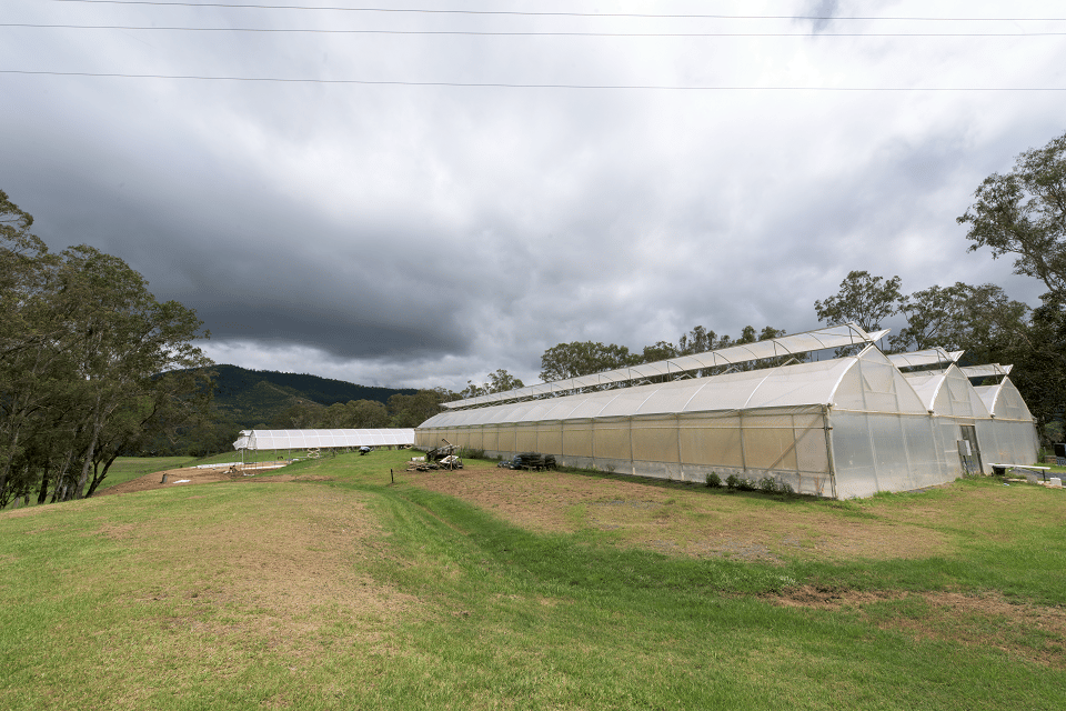 Double Creek Farm in Imbil, QLD