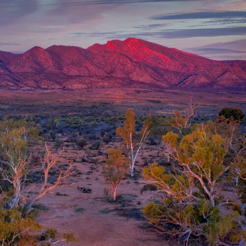 Edeowie Station in Flinders Ranges, SA