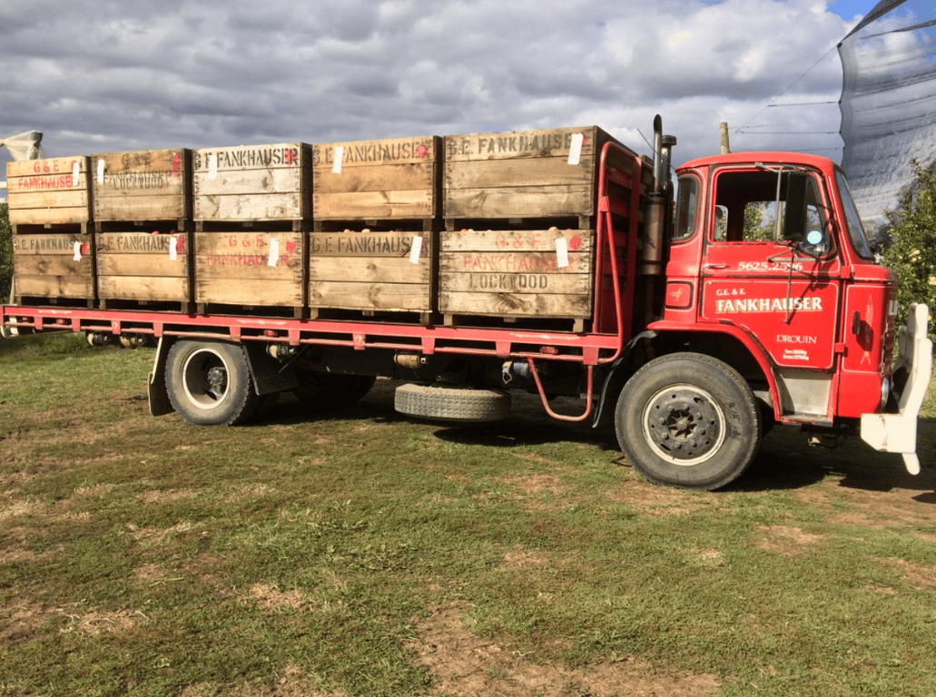 Fankhauser Apples in Drouin, VIC