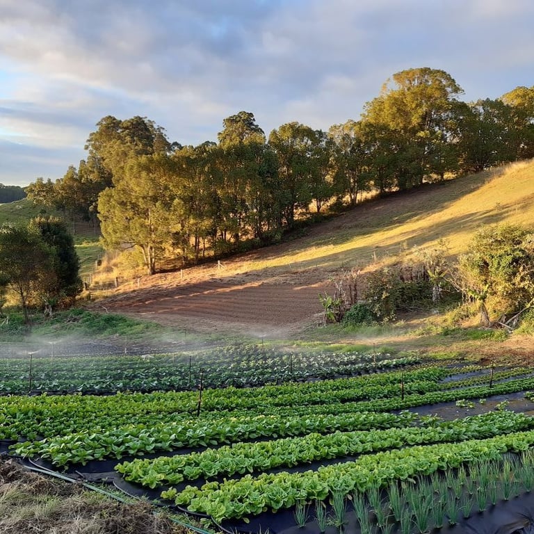 Farmer Foster in Crabbes Creek, NSW