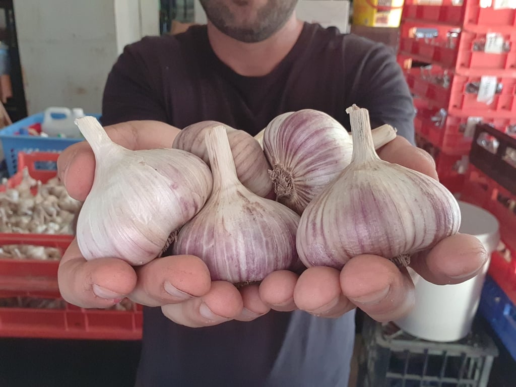 Garlic Kingdom in Cooma, NSW