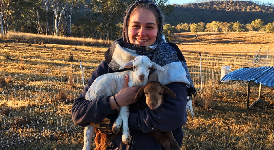 Gleneden Farm - Farm Tours & Workshops in Maryvale, QLD