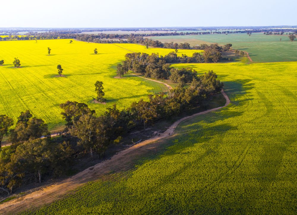 Glenmoore in Chichester, NSW