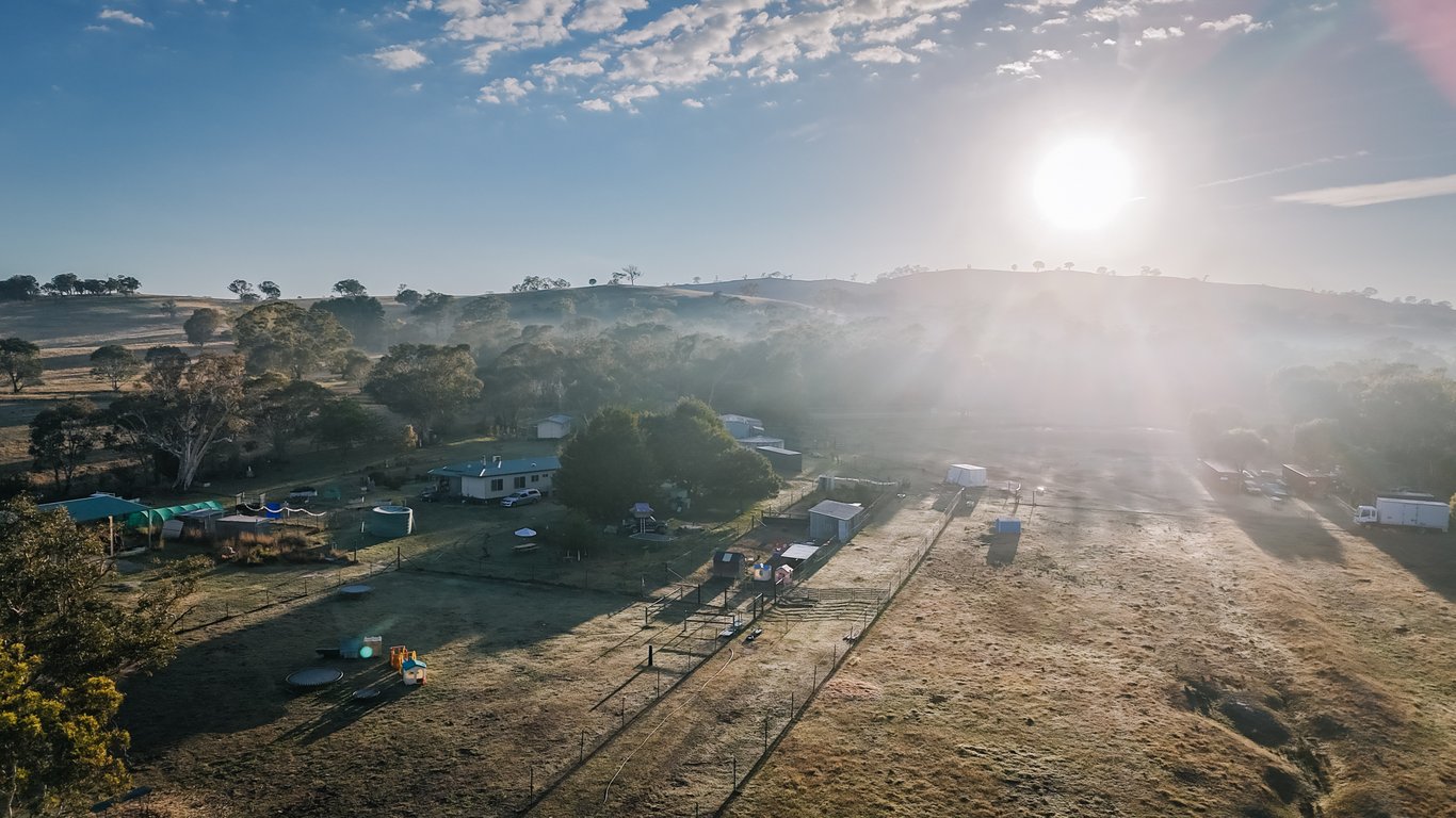 Glenview Alpaca Farm in Bango, NSW