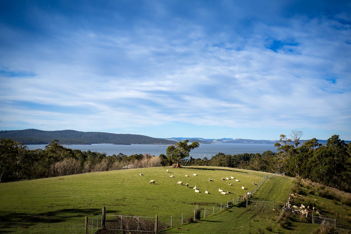 Grandvewe Cheeses in Birchs Bay, TAS
