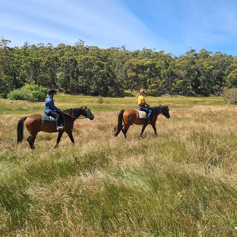 Granite Springs in Nulla Vale, VIC