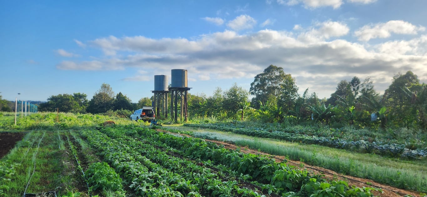 Green Bird Organics in Murwillumbah, NSW