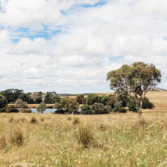 Greenhill Farm in Bungendore, NSW