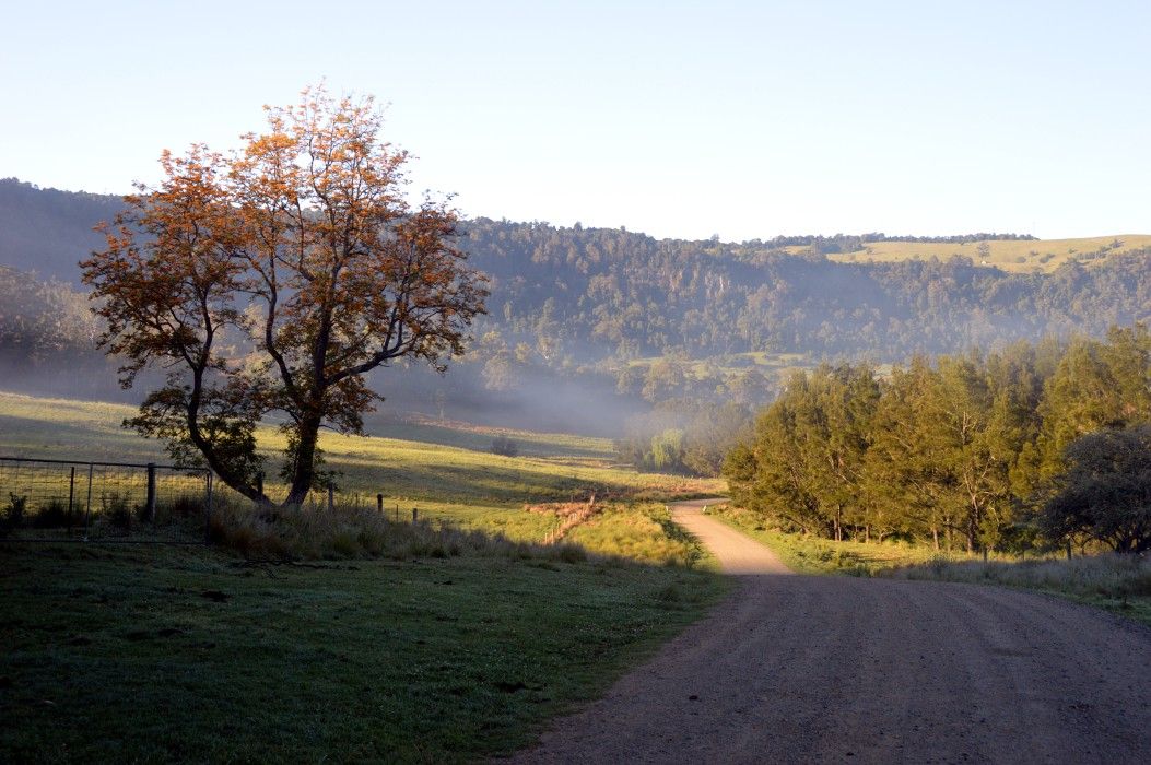 Oaklea Cottages in Killarney, QLD