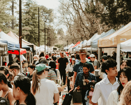 Haig Park Village Markets in Haig Park, ACT