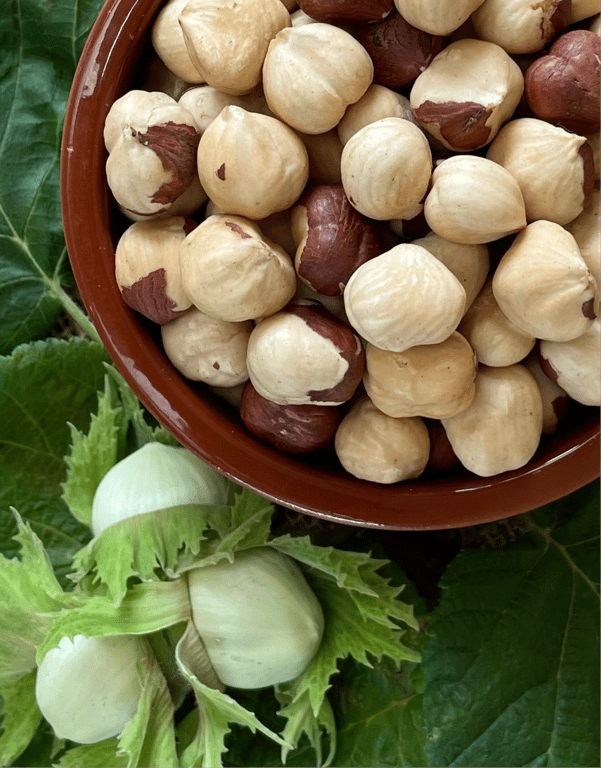 Hazelbrae Hazelnuts in Hagley, TAS