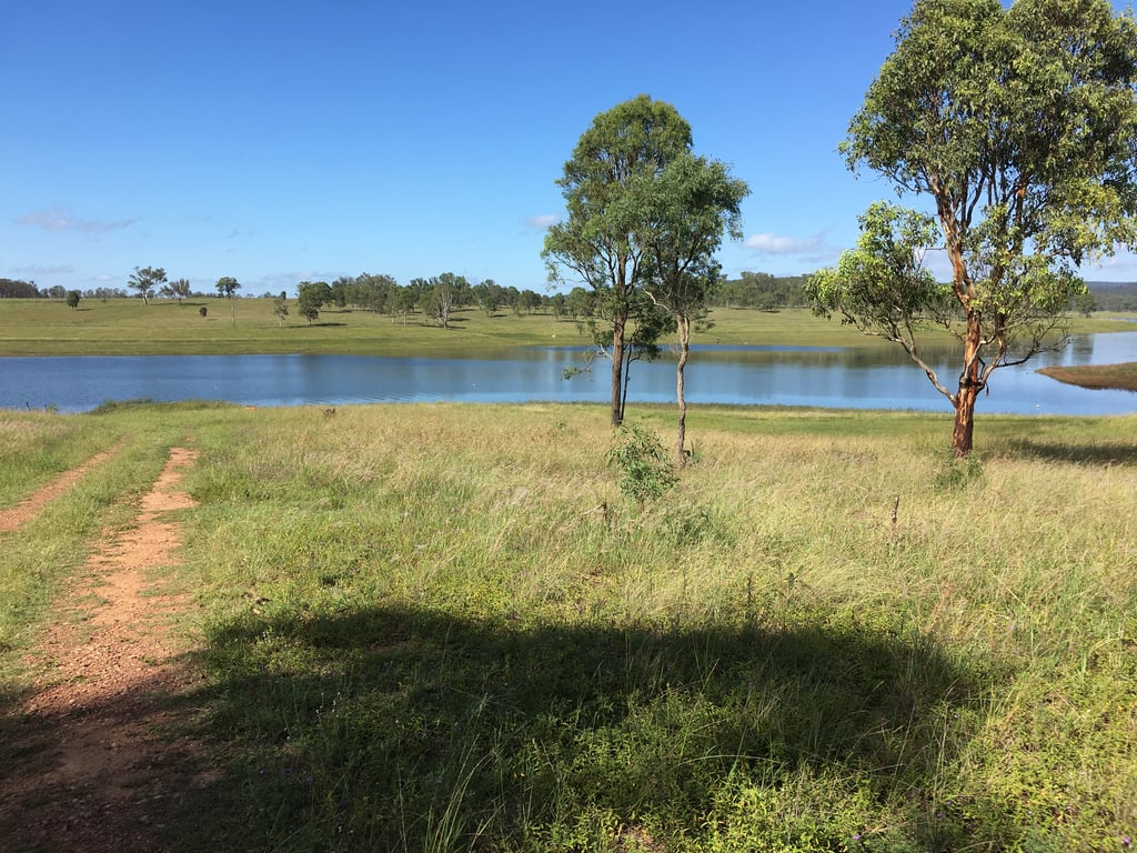 Hidden Gold Homestead in Moffatdale, QLD