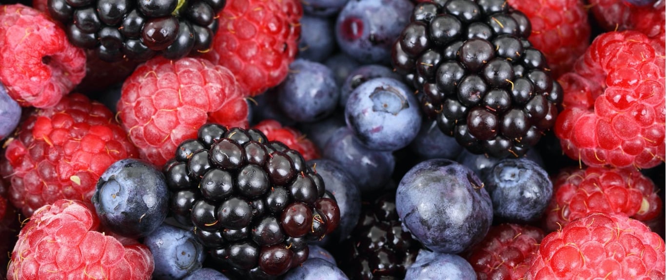 High Grove Berry & Cherry Farm in Stanley, VIC
