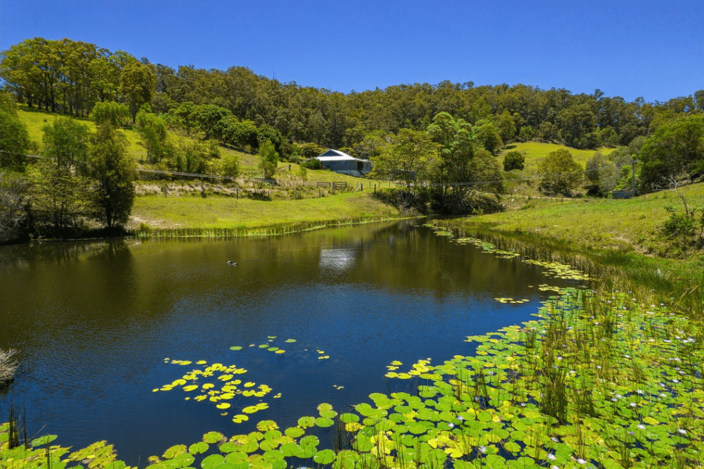 Hinterland Hideaway FarmStay in Wilsons Pocket, QLD
