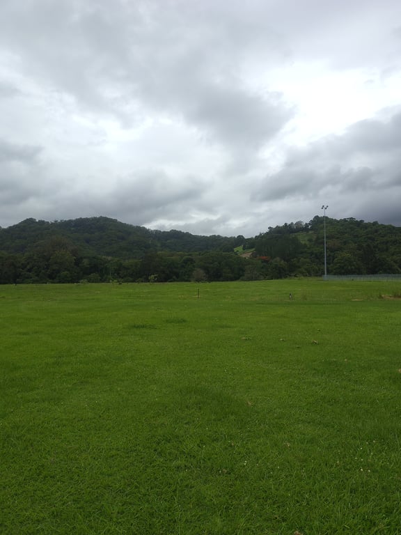 JALUM Undulating Farmland! in Mooball, NSW