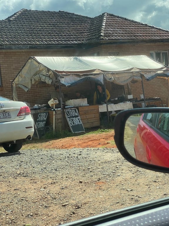 Jarvis Fresh Strawberry Farm in Rochedale, QLD