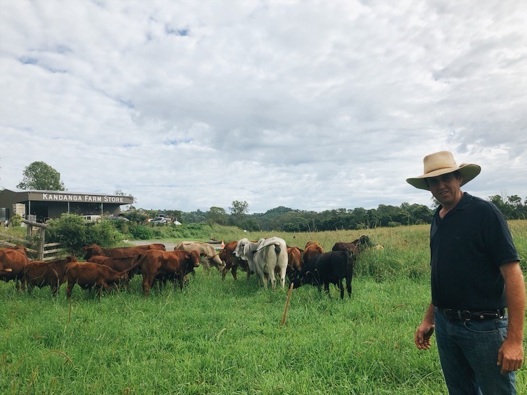 Kandanga Farm Store in Kandanga, QLD