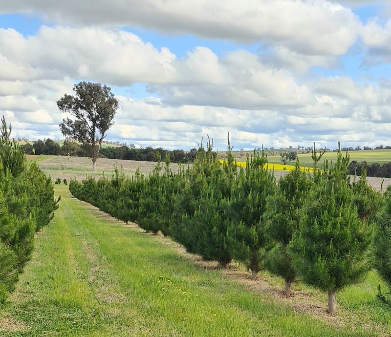 Kinnilla Market in Marrar, NSW