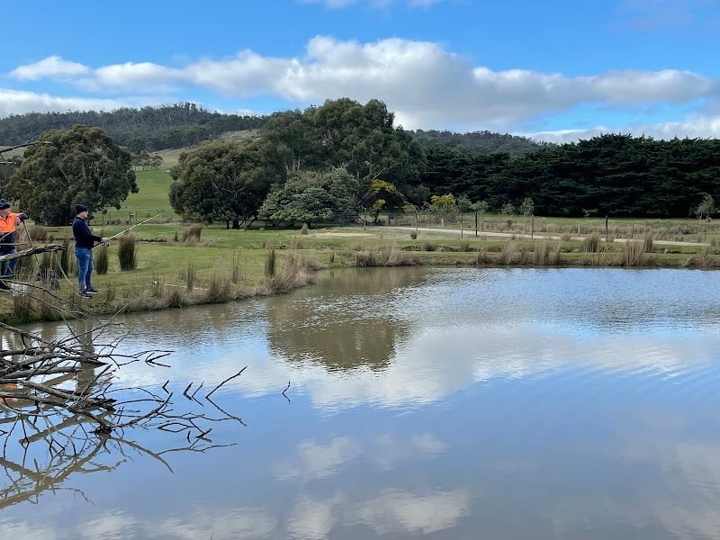 Learmonth Trout & Fauna Park in Addington, VIC