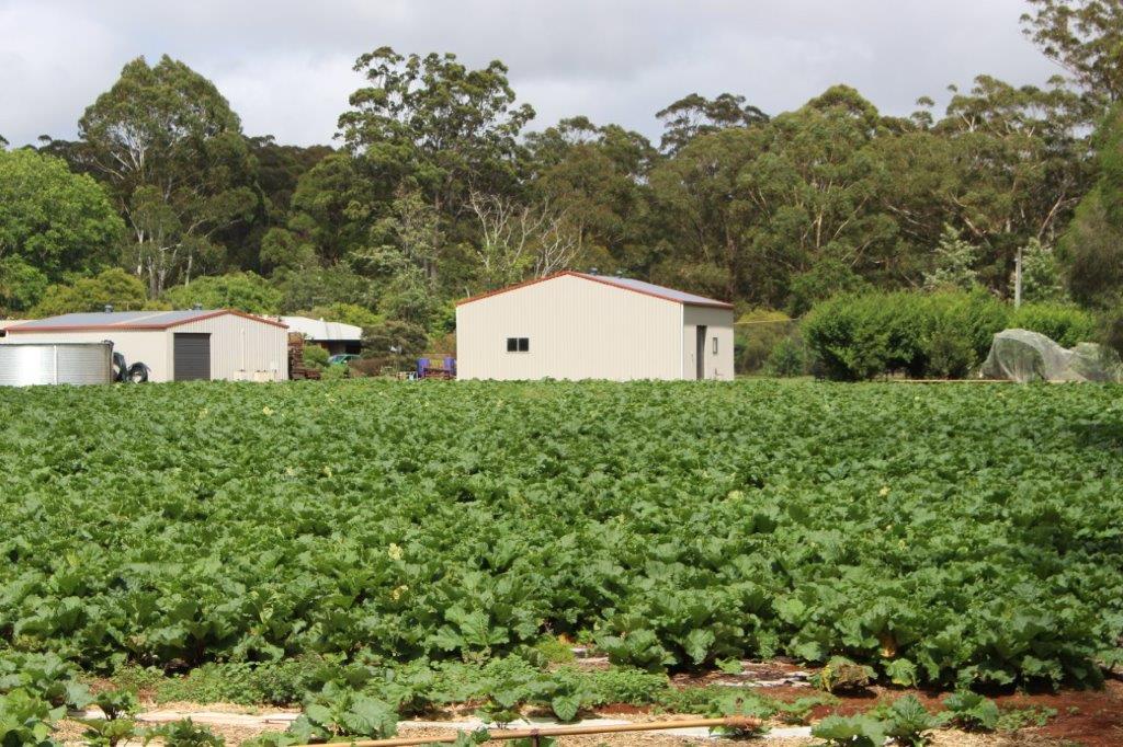 MacBeth Farms in Cabarlah, QLD