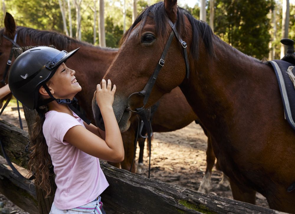 Maiden Jewel Camping Wingen in Wingen, NSW